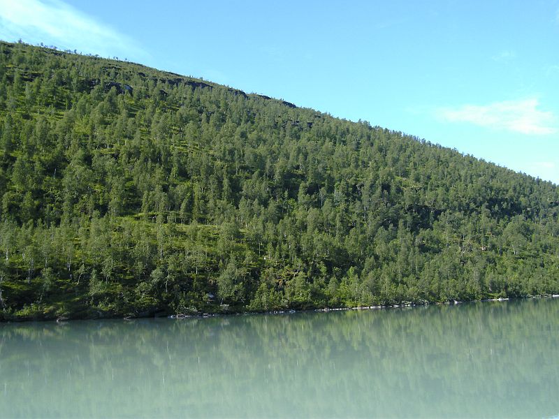 Nordkap 2009 467.jpg